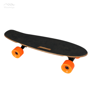 Electric skateboard 
